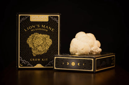 Golden Mushroom Co – Lion’s Mane Mushroom Grow Kit