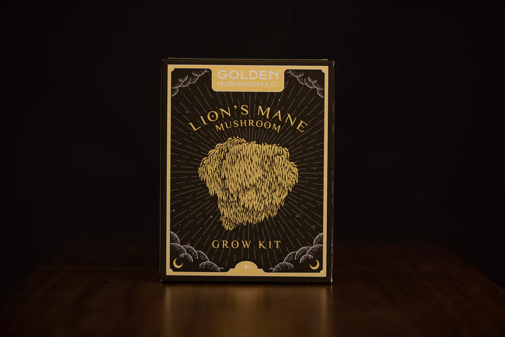 Golden Mushroom Co – Lion’s Mane Mushroom Grow Kit