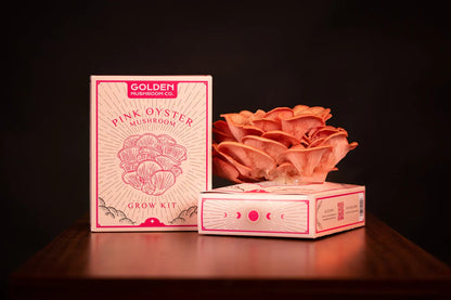 Golden Mushroom Co – Pink Oyster Mushroom Grow Kit